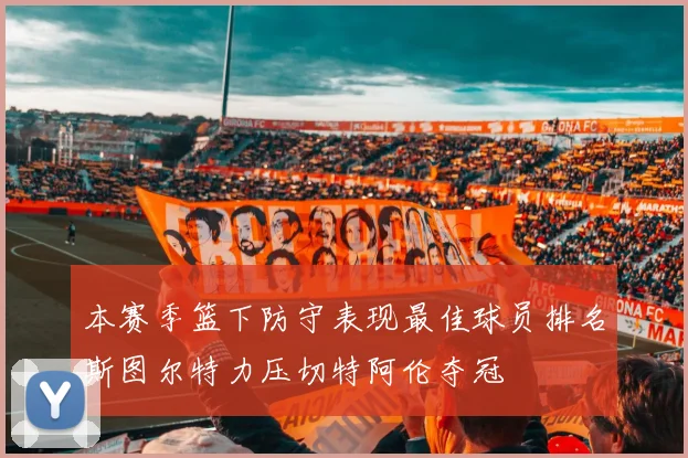本赛季篮下防守表现最佳球员排名斯图尔特力压切特阿伦夺冠