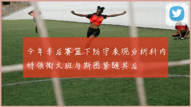 今年季后赛篮下防守表现分析科内特领衔文班与斯图紧随其后